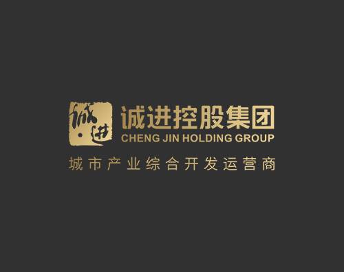 誠進控股集團打造全新高端響應式官網(wǎng)