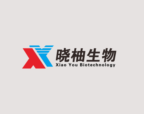 曉柚生物打造全新響應式官網
